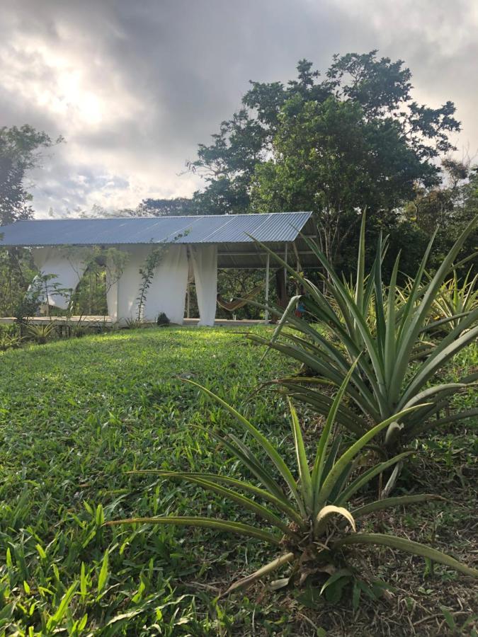 Soursop Hostel Cueta Exterior foto