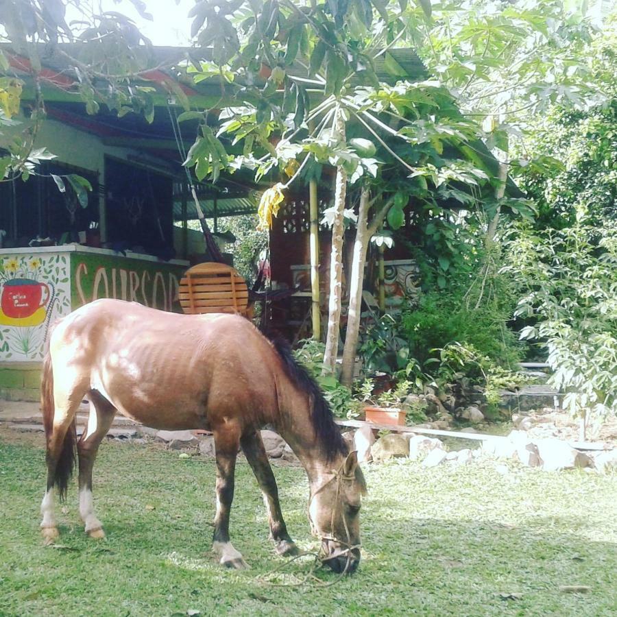 Soursop Hostel Cueta Exterior foto